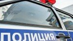 Виртуальный попугай: при попытке забрать попугая мошенники обманули девушку